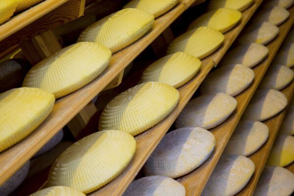 ashdown-forester-rack