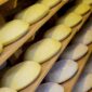 ashdown-forester-rack