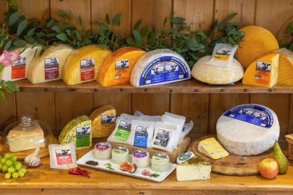 cheese-box-life-2