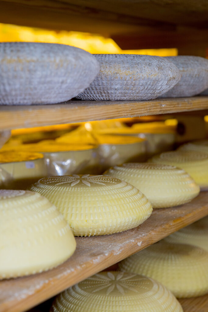 High Weald Dairy Cheese Maturing Racks